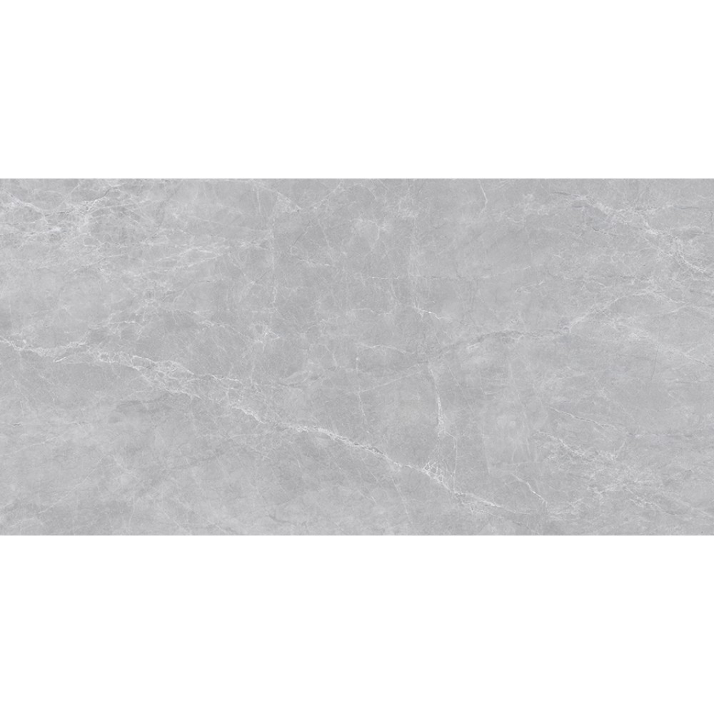 EXEDRA GRIS 60X120 (1.44m²/bt) 